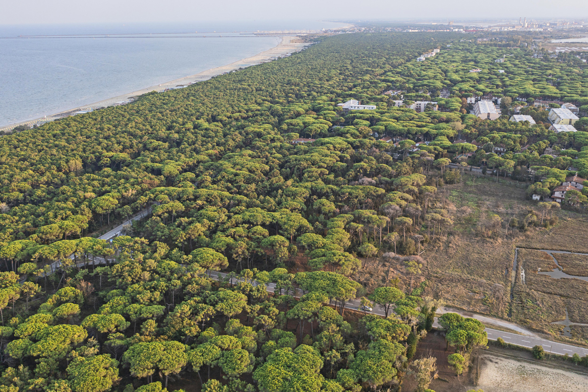 Marina Romea (Ra), Panoramic view