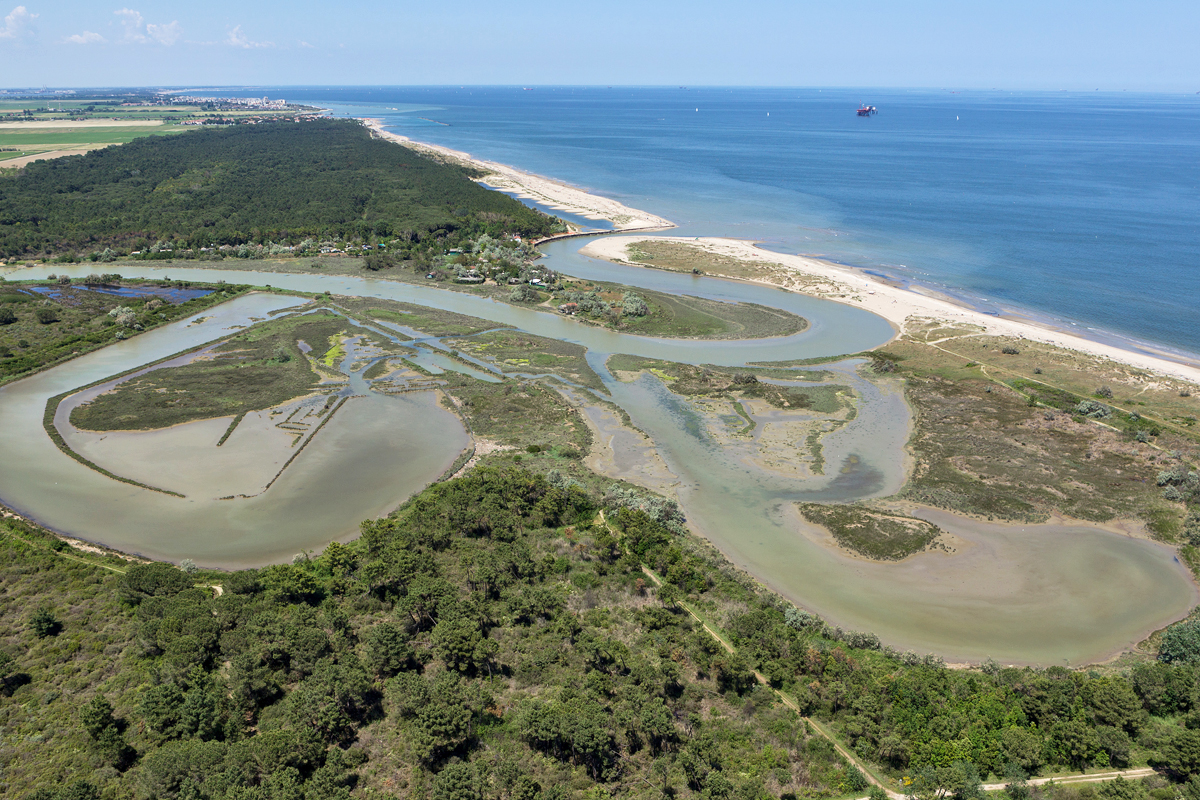 Mouth of the Bevano river (Lido di Dante, Ravenna)