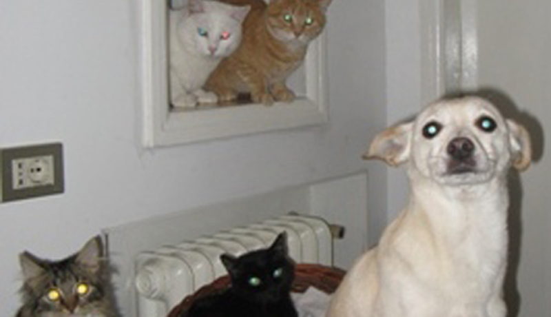 Bed&Breakfast Il Giardino Roccioso