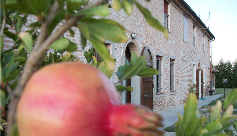 Bed&Breakfast La Brezza
