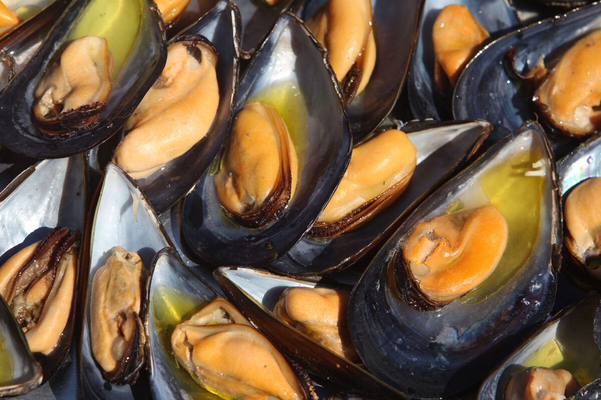 Mussels of Marina di Ravenna