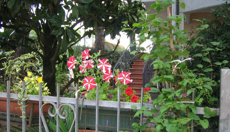 Bed&Breakfast Mare e Mira