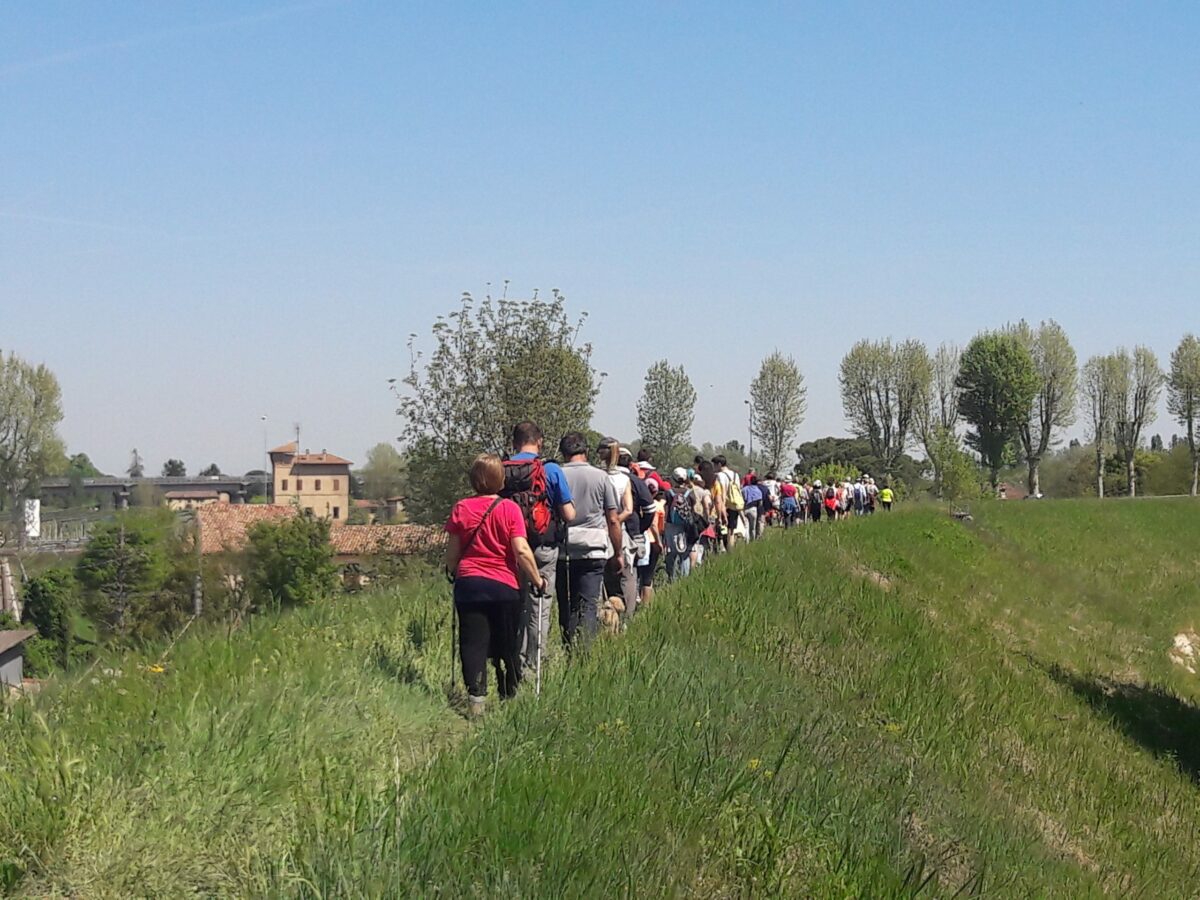 Passeggiata lungo il fiume Lamone