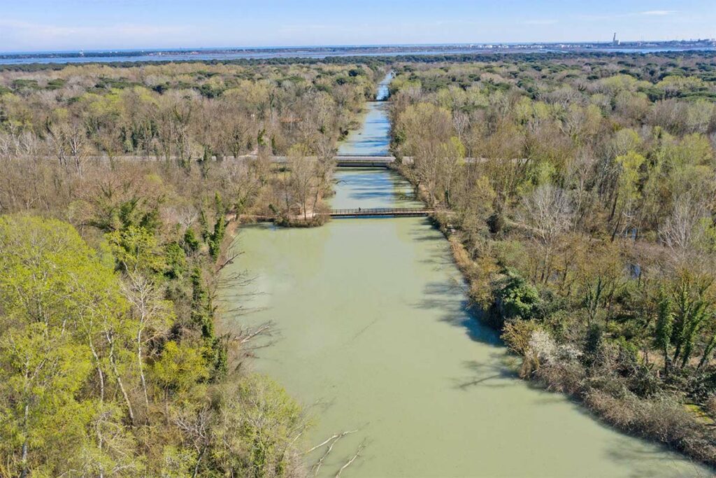 L'oasi di Punte Alberete (Ravenna)