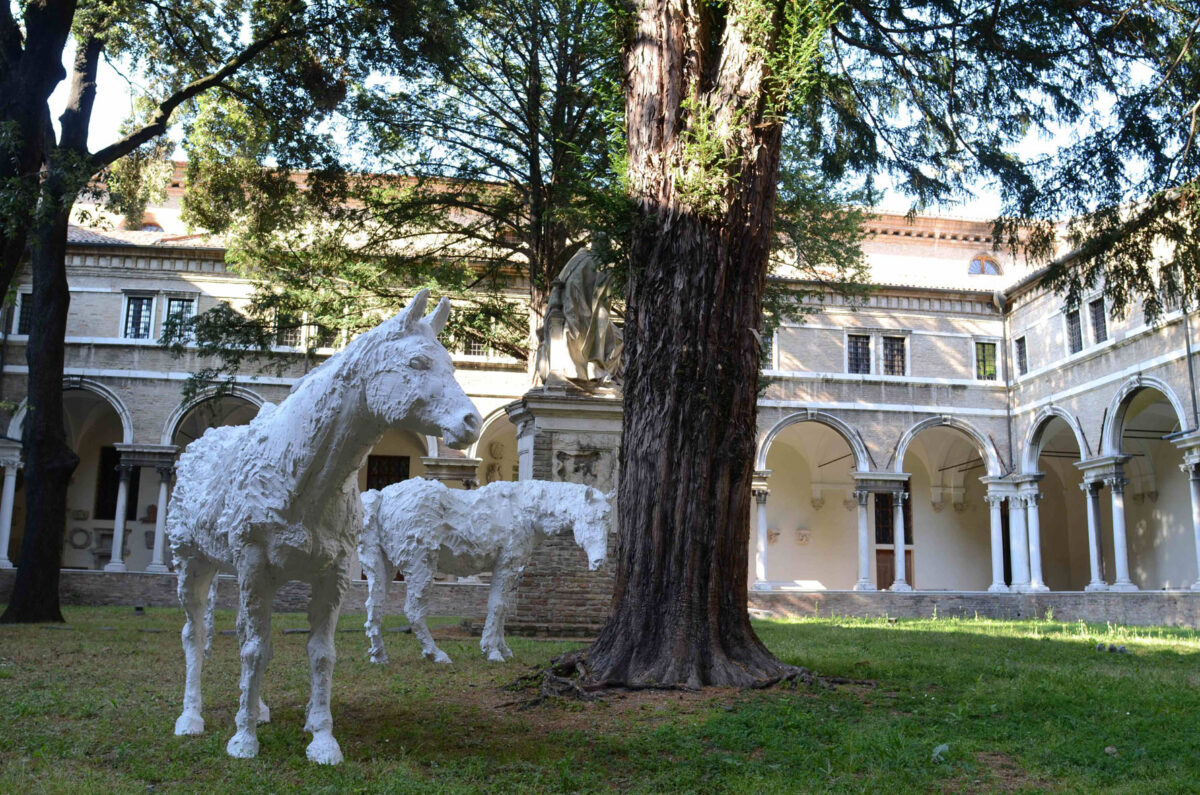 Terre Promesse - Gli asini al Museo Nazionale di Ravenna