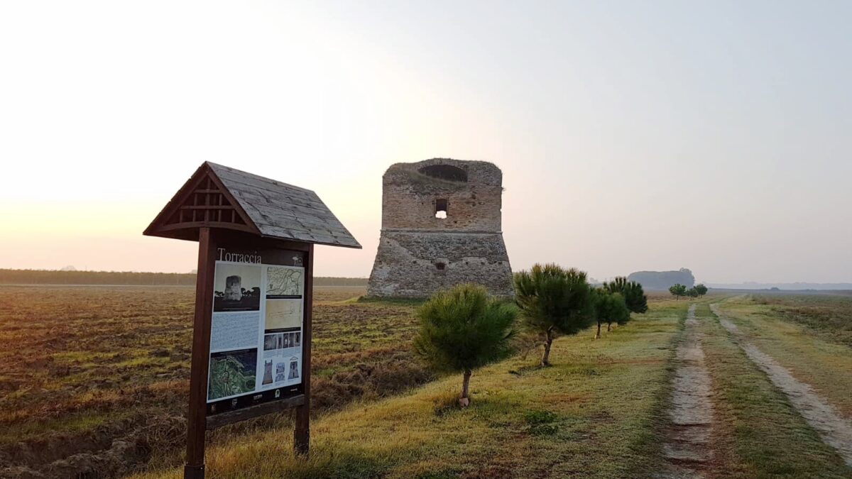 La Torraccia, Ravenna