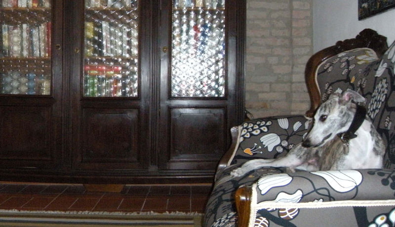 Bed&Breakfast Vecchia Ravenna