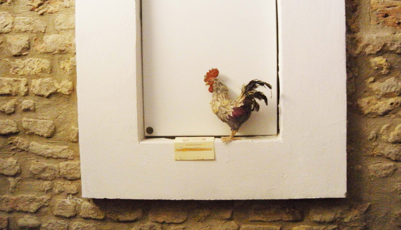 Bed&Breakfast Vecchia Ravenna