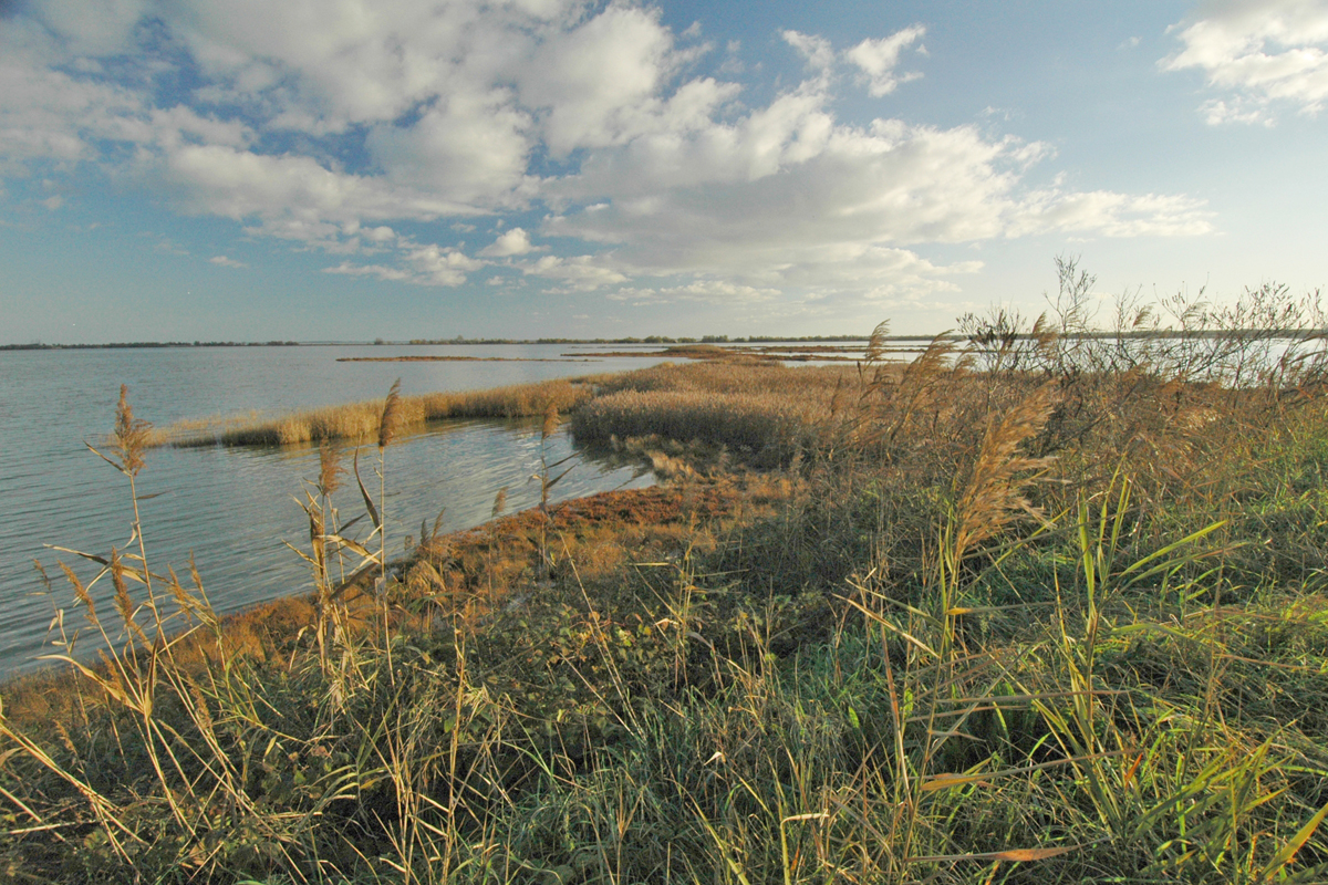 Peninsula of Boscoforte (RA) 