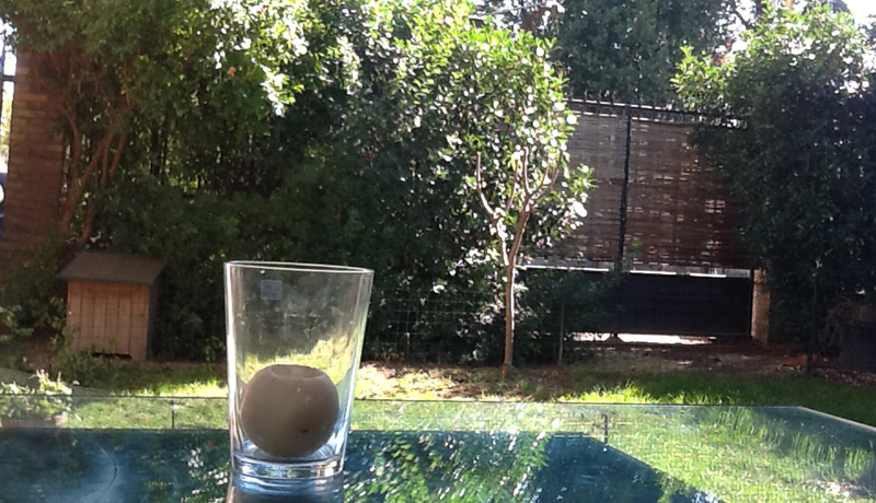 Bed&Breakfast Biffi