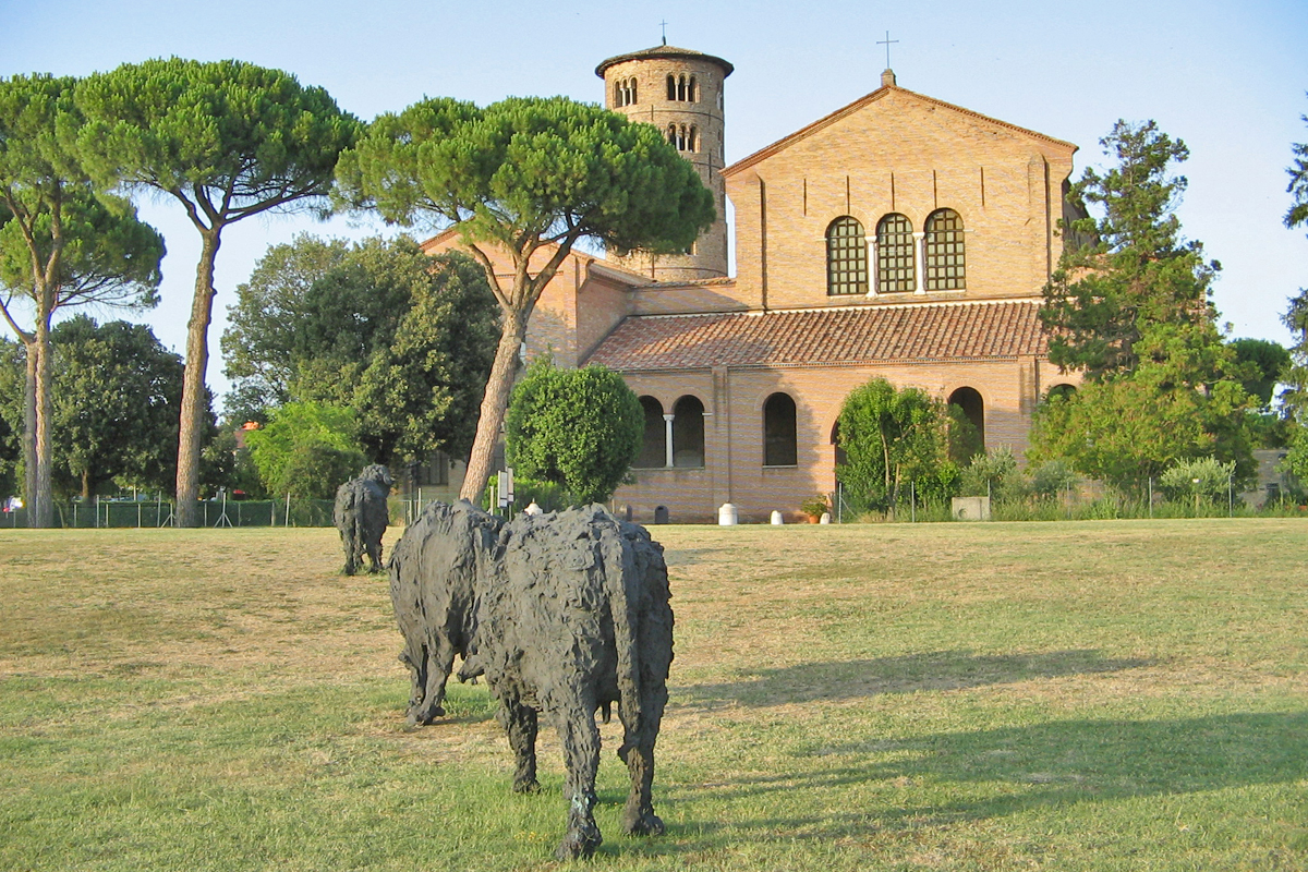 Female buffalos by Davide Rivalta