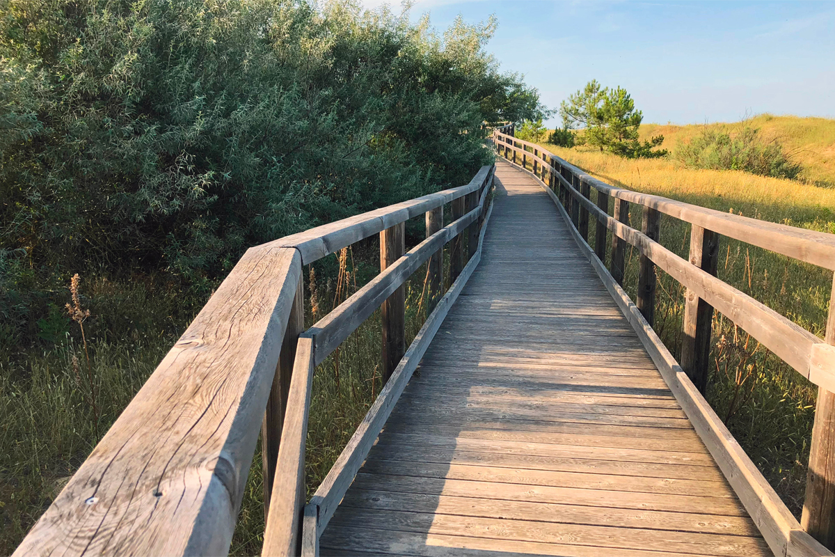 Ravenna, Parco Marittimo, le dune