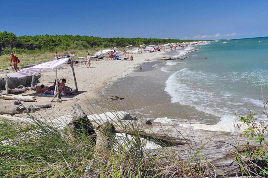 Lido di Dante (Ra) - Bassona beach
