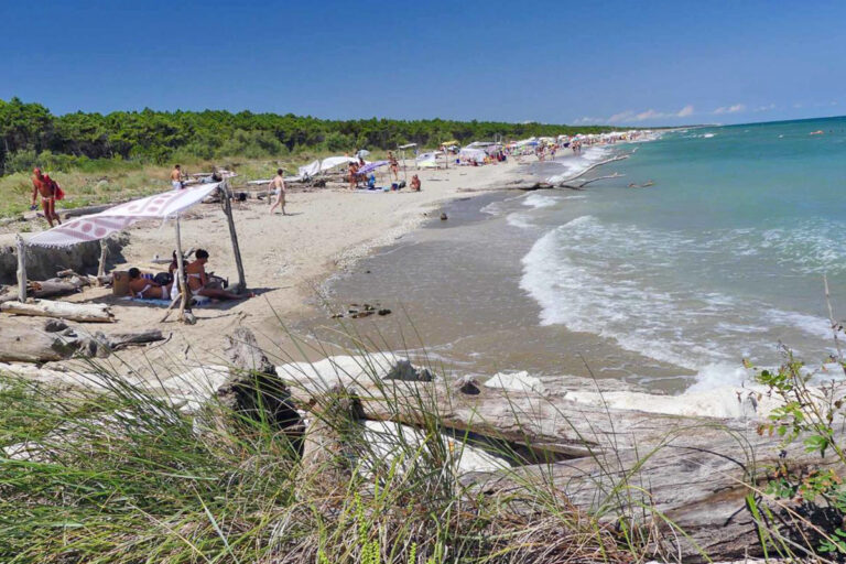 Lido di Dante (Ra) - Bassona beach