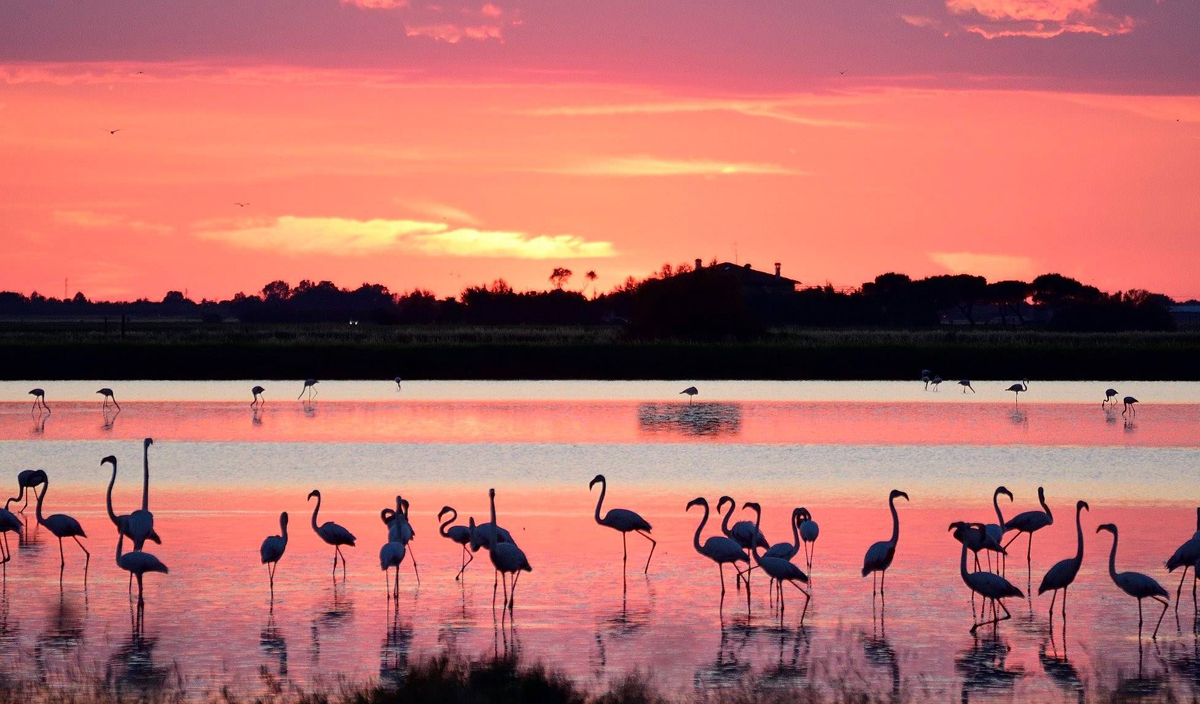 The Salt Pans in Cervia (Ravenna)