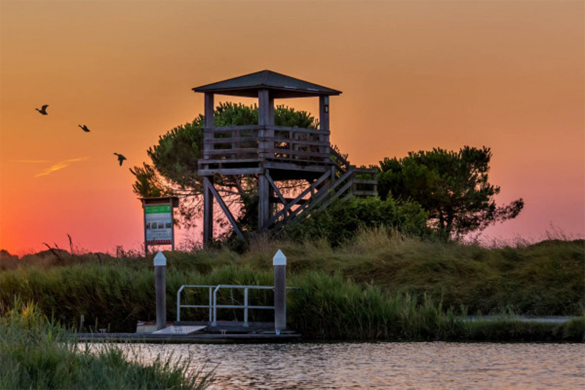 Escursione al tramonto sul fiume Lamone