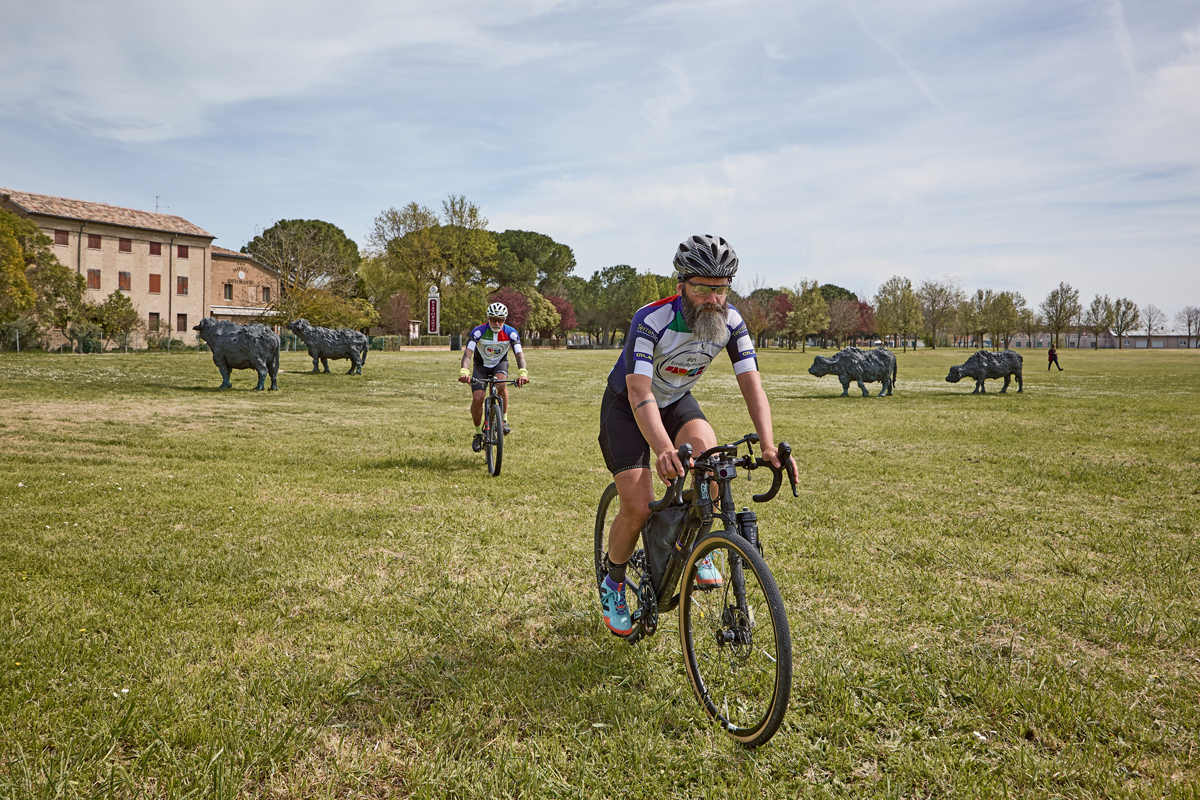 Ravenna in bicicletta - Classe