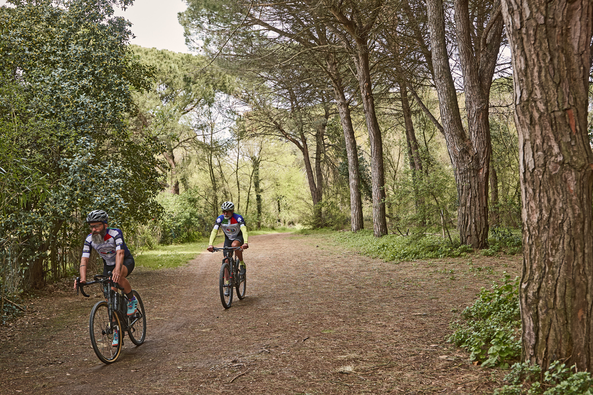 Ravenna in bicicletta - Valli e pinete