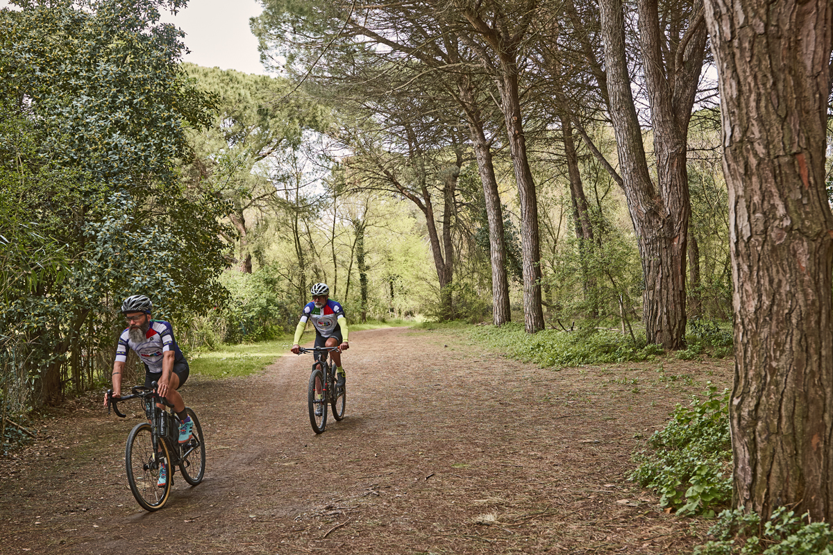 Ravenna in bicicletta - Valli e pinete