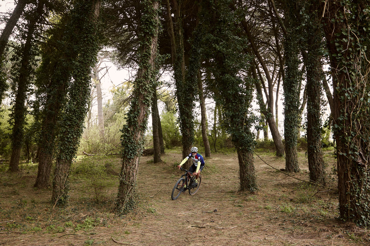 Ravenna in bicicletta - Pineta di Classe