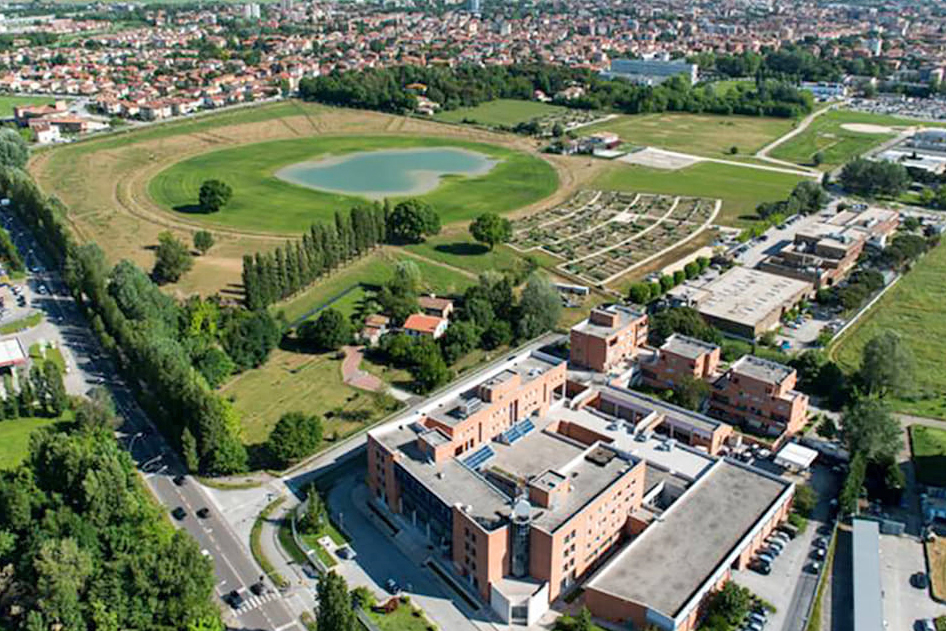 Parco Bosco Baronio (Ravenna) 