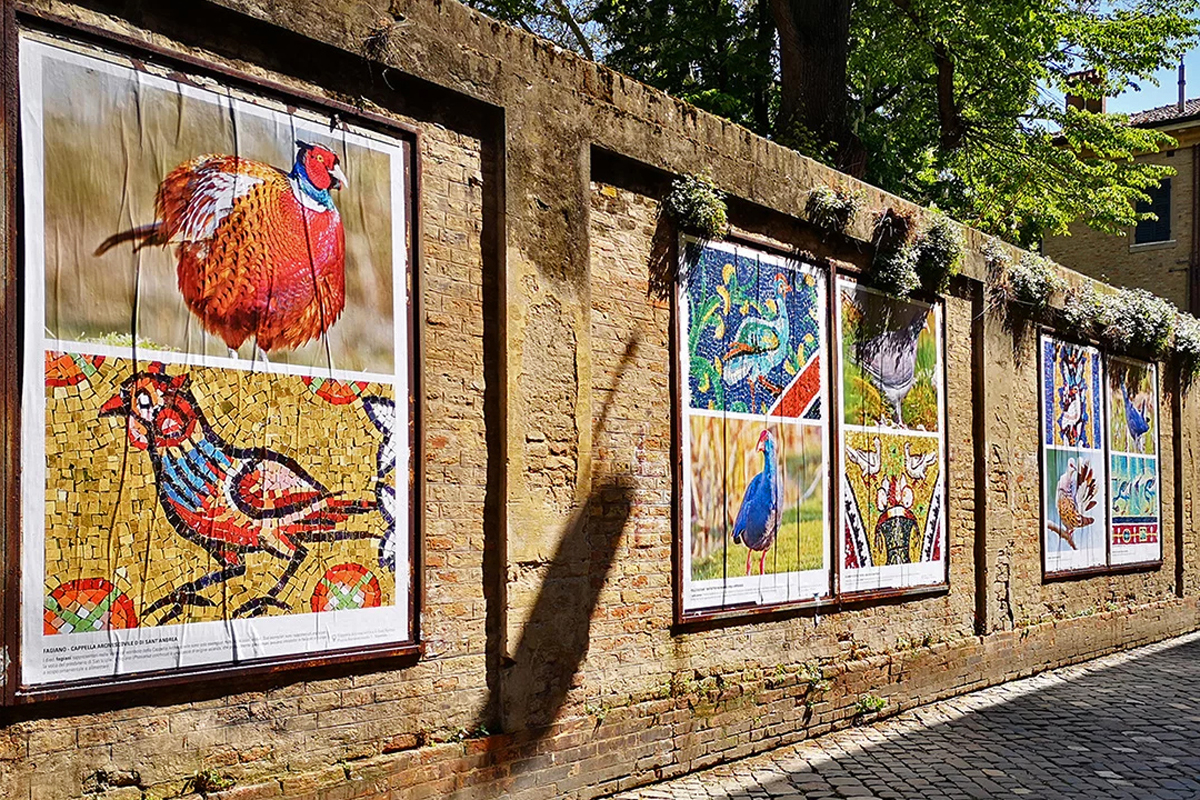 Ravenna, Via Zirardini Open-Air Gallery - Mosaico e Natura