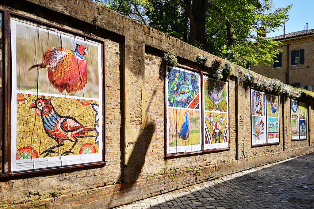 Via Zirardini - Open Air Gallery - Mosaico e Natura