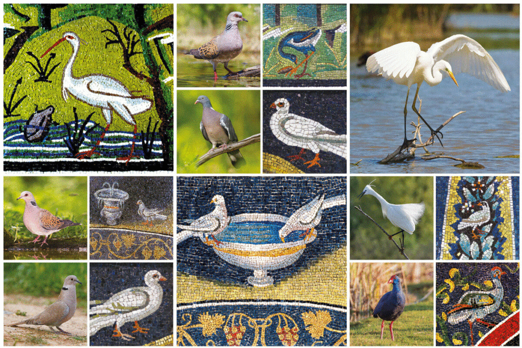 Il Patrimonio della Biodiversità - Mosaico e Natura