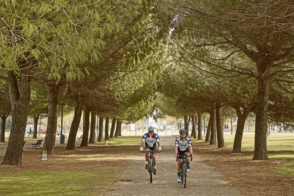 Ravenna in bicicletta - Classe