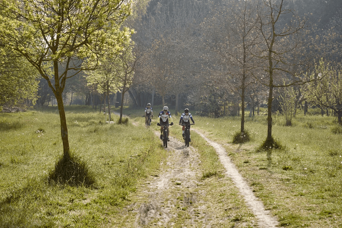 Ravenna in bicicletta - Fiume Savio