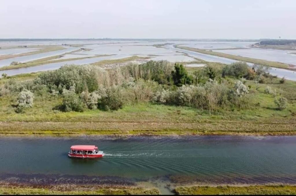 Escursione all'isola degli Spinaroni