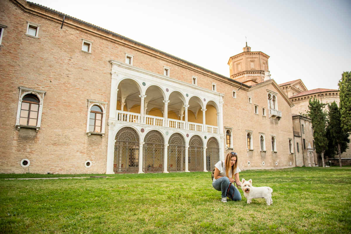 Ravenna, Mar - Museo d'Arte della Città di Ravenna