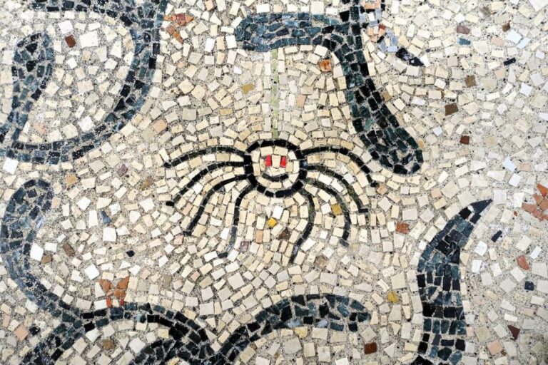 Dettaglio di mosaico con ragno