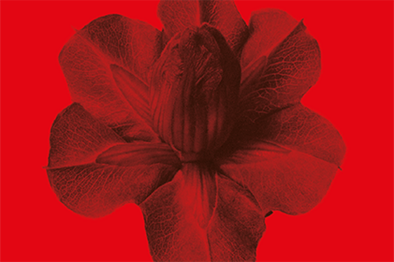 La stagione del Cisim 2025-26