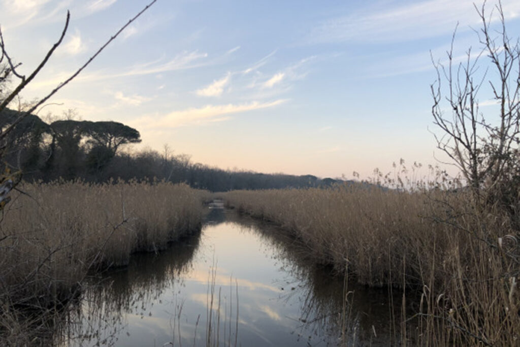 DELTA A PEDALI AL TRAMONTO